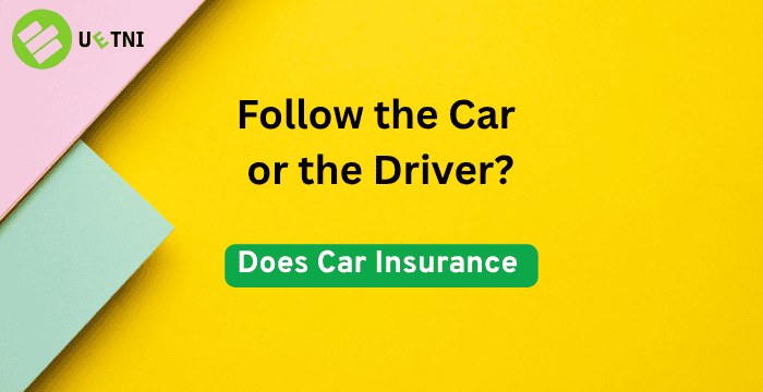Car or Driver